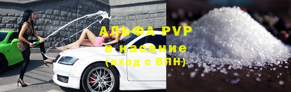 ПСИЛОЦИБИНОВЫЕ ГРИБЫ Михайлов