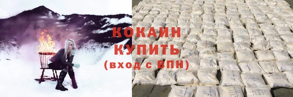 ПСИЛОЦИБИНОВЫЕ ГРИБЫ Михайлов