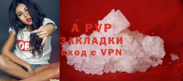 ECSTASY Михайловск