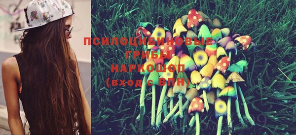 ECSTASY Михайловск