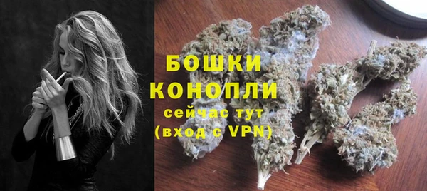 ПСИЛОЦИБИНОВЫЕ ГРИБЫ Михайлов