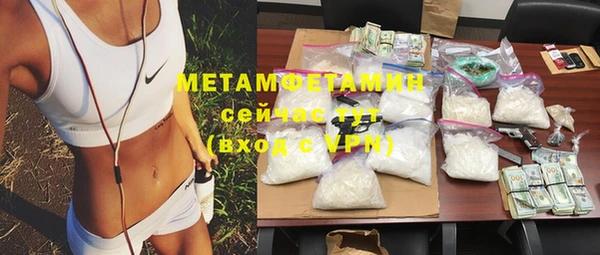 ПСИЛОЦИБИНОВЫЕ ГРИБЫ Михайлов