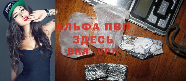 ПСИЛОЦИБИНОВЫЕ ГРИБЫ Михайлов